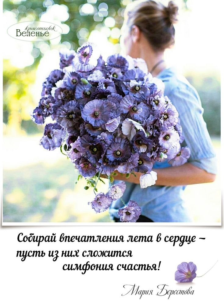   - 15  2025  11:33