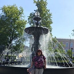 , 51,  
