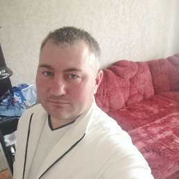 , 37, 