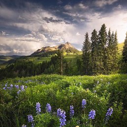 �����, ������������, 50 ���