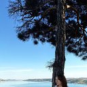 ���� �����, ������, 59 ��� - ��������� 20 ������� 2025 � ������ ��������, ������.�