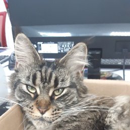 �, ������, 28 ���