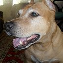 ���� Alex, ����, 50 ��� - ��������� 17 ������ 2025 � ������ ������ ��������