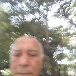 , 53, 