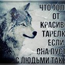 ���� ������, ������, 39 ��� - ��������� 24 ���� 2026 � ������ ���� ����������