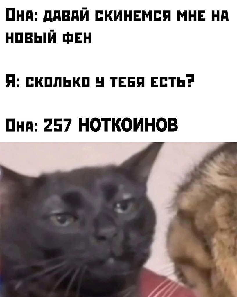   -  ,  -  - 6  2024  14:50
