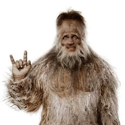 �����, �����������, 40 ���