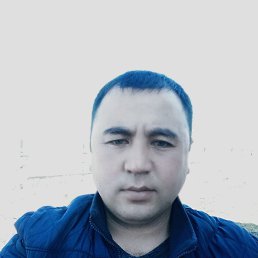 ����� ��������, 38 ���, ����������