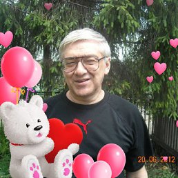 , 61, 