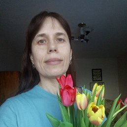, 46, 