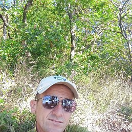 ������, ������������, 45 ���