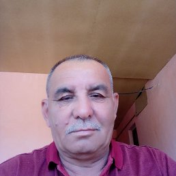 , 66, 