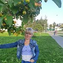 ���� Zhzi, ������� - ��������� 1 ������ 2026 � ������ ������ ��������