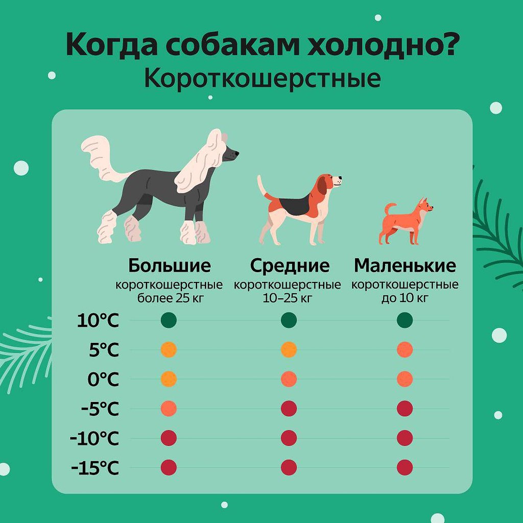ОБО ВСЕМ - 12 октября 2025 в 14:05