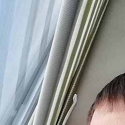 ����, �����������, 36 ���