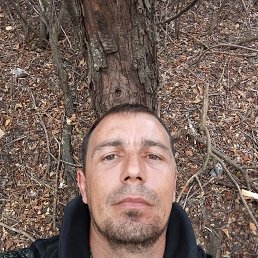 , 34, 