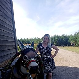 �����, ��������