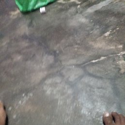 Sgk, �����������, 53 ����