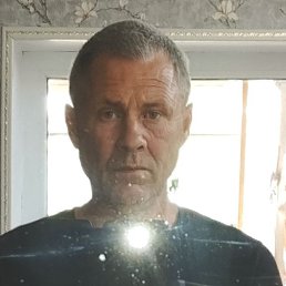 , 53 , 