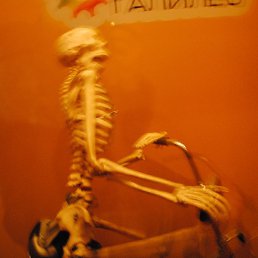 "���������", �����, 53 ����