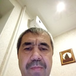 , 53 , 