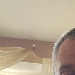 ������, ������, 39 ���