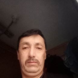 , 49, 