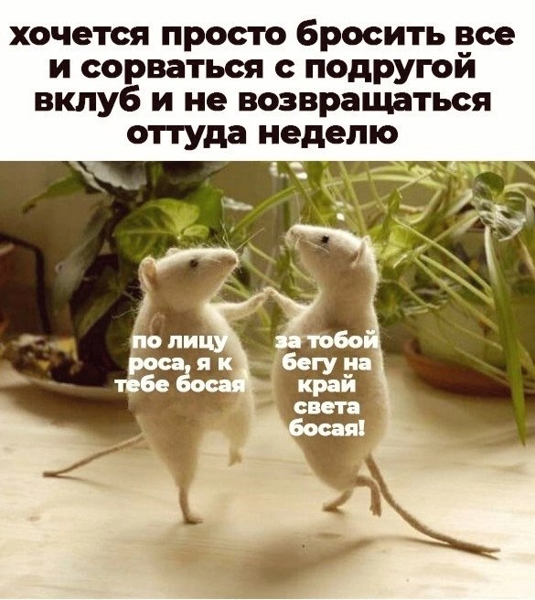 ***Victoria Viktorovna*** - 21  2024  03:13