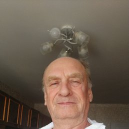 , 65,  