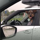 ���� ���������, �������, 52 ���� - ��������� 9 ����� 2026 � ������ ������ ��������