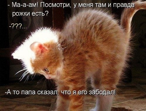    - 12  2024  22:31