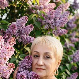 ���� �������, �����������, 60 ��� - ��������� 12 ����� 2026