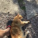 ���� �������, ������������ - ��������� 15 ������ 2024 � ������ ���� ����������