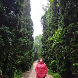 , 65, 