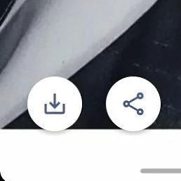 �������, �����������, 46 ���