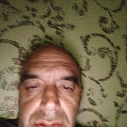 , 53 , 