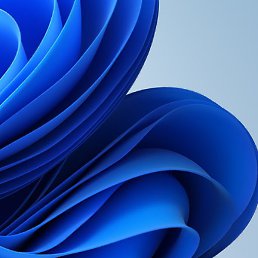 �����, ������, 43 ����