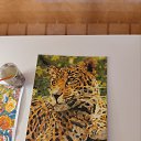 ���� Gentle, ������ - ��������� 20 ������ 2025 � ������ �� �����...�