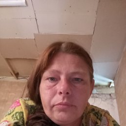 , 41 , 