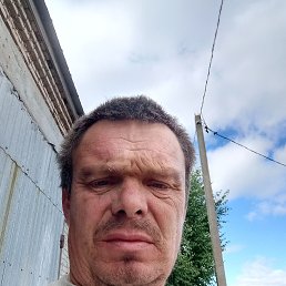 , 41, 