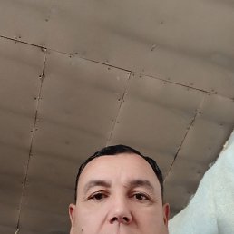 ����, 46 ���, ������