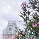  C, , 54  -  31  2025