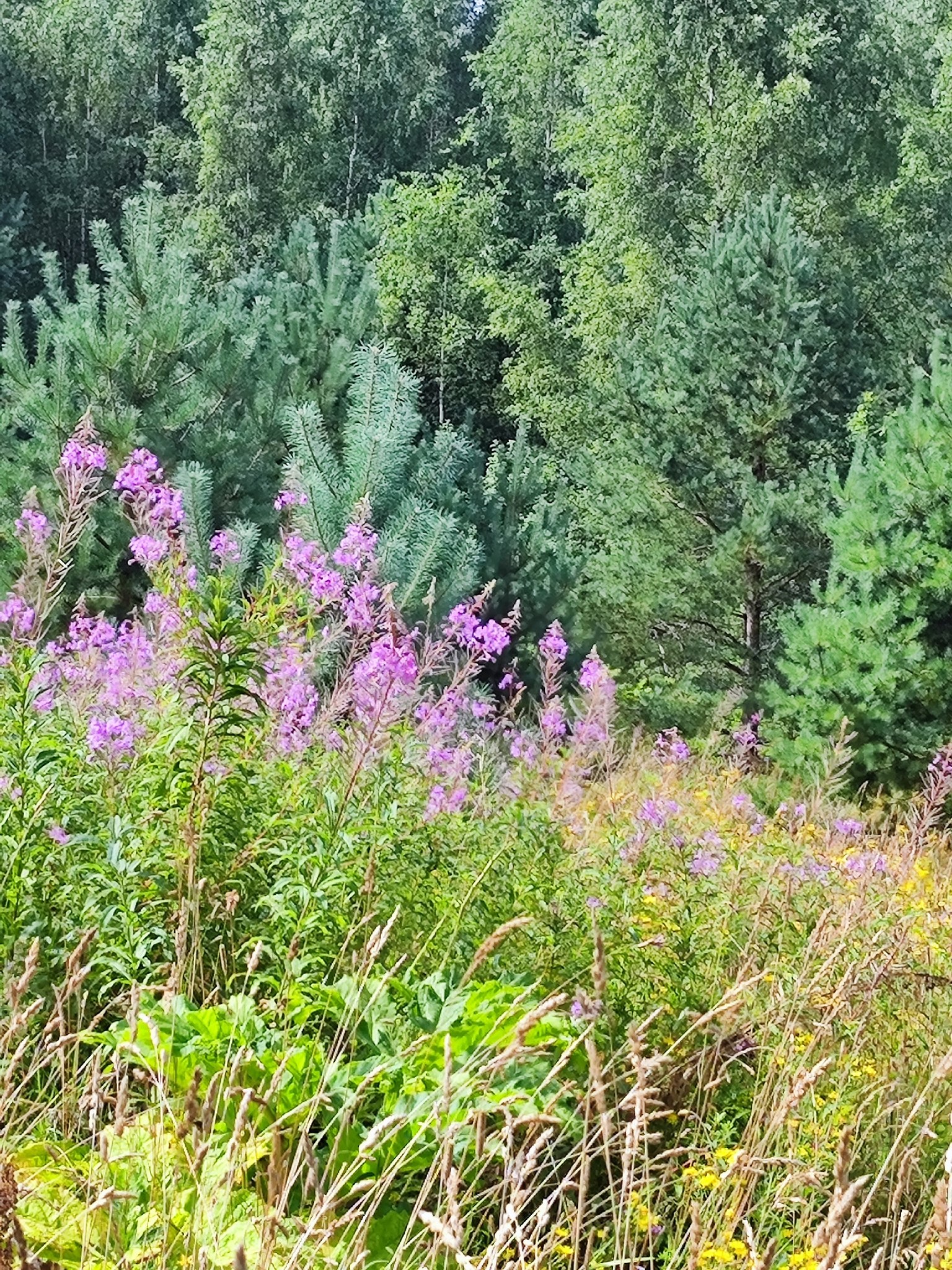   - 12  2025  16:15 - 6