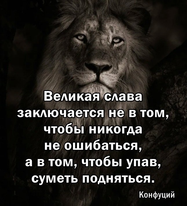   - 11  2024  21:54