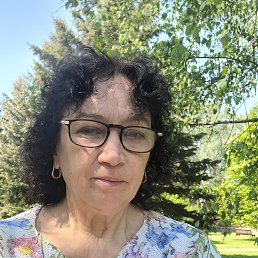 , 65, 