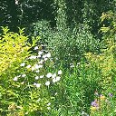 ���� �����, ������, 45 ��� - ��������� 4 ���� 2025 � ������ ���� ����������