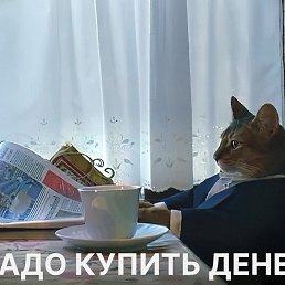���� ��������, ������, 37 ��� - ��������� 28 ������ 2026