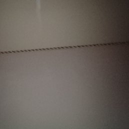 ���� ����, ������, 37 ��� - ��������� 16 ������ 2024