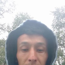 , 29, 