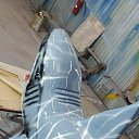 ���� ������ Cccp, ������, 57 ��� - ��������� 1 ������� 2026 � ������ ������ ��������